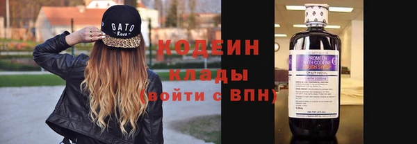 спиды Арсеньев