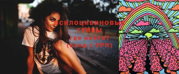 спиды Арсеньев